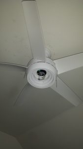 Ceiling Fan Blades