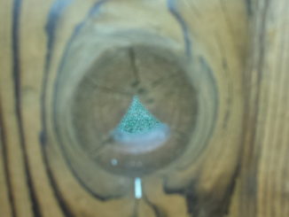 Wood Fence Knot hole Knot Holes in a Privacy Fence